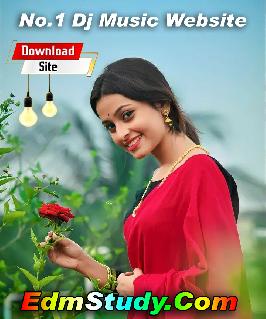 Tui Hamke -New Style Bangla Sad Love Story Humming Lion Bass Mix 2025--Dj Swarup Remix